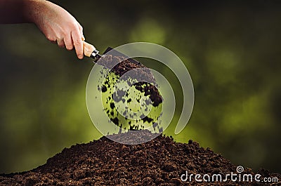 Hand pouring black soil on green plant bokeh background Stock Photo