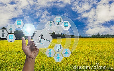 Hand press button to participate in auction, with icon of agricultural product auctioneer, with sky background and organic fields Stock Photo