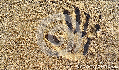 Hand Print on Beach Sand