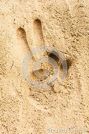 Hand print on the sand beach texture background Stock Photo