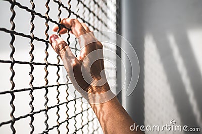 Hand of prisoner holding rustic metal fence with pattern shadow, criminal locked in jail Stock Photo