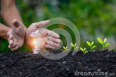Hand protection light bulb,energy sources for renewable,natural energy Stock Photo