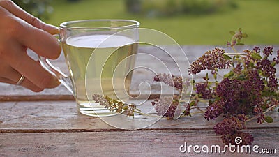 Hand puts a cup of thyme tea Stock Photo