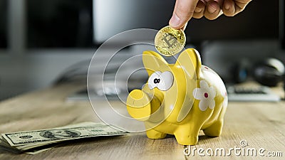 Hand putting golden bitcoin in to piggy bank money box with a computer on background. Cryptocurrency investment concept Stock Photo