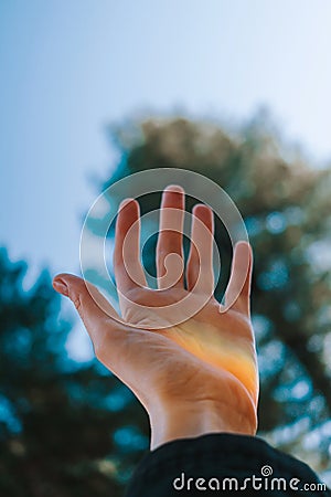 The hand is raised up against the background of blue sky and trees. Stock Photo