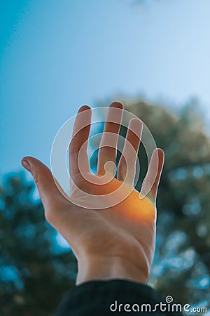 The hand is raised up against the background of blue sky and trees. Stock Photo