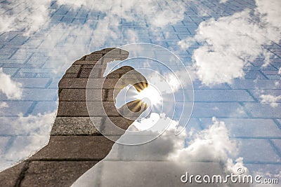 Hand reaching for the sun Stock Photo