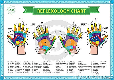 Hand reflexology chart Cartoon Illustration