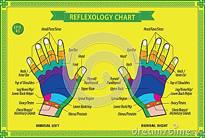 Hand reflexology chart Cartoon Illustration