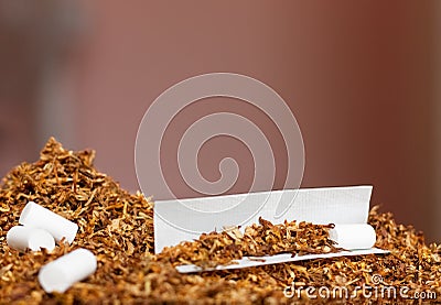 Hand rolling tobacco and paper Stock Photo
