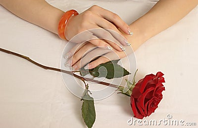 Hand roses Stock Photo