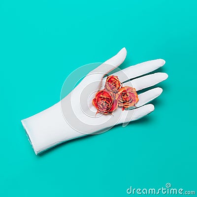 Hand and Roses. Minimalism Art Stock Photo