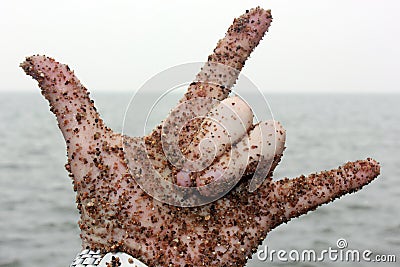 Hand with sand Stock Photo