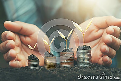 hand saving money and growing young plant on coins. finance accounting Stock Photo