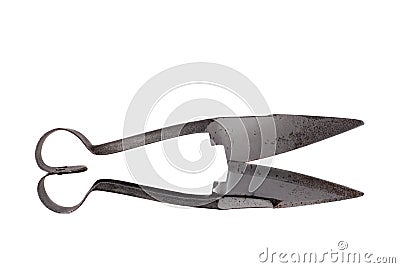 Hand shears Stock Photo