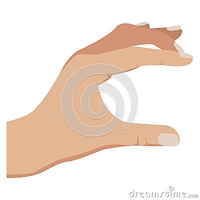 Hand showing something small. Holding hand. Realistic gesture. Flat style vestor illustration. Vector Illustration