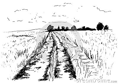 Hand sketch dirt road Vector Illustration