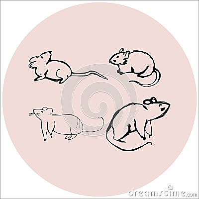 Hand sketch illustration of rats hand drawn mouses Cartoon Illustration