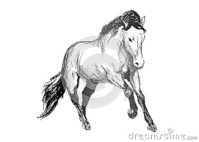 Hand sketch of a running horse Vector Illustration