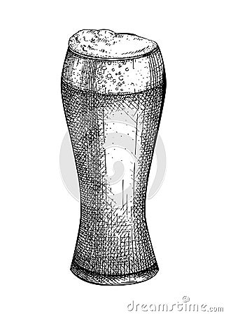 Hand-sketched beer glass illustration. Vector sketch of the popular drink bowl isolated on white background. Alcoholic drawing of Vector Illustration