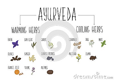 Hand-sketched collection of elements of Ayurvedic spices in our kitchen. Warming and cooling Herbs and supplements Ayurveda. Cartoon Illustration