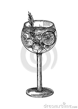 Hand-sketched Gin and tonic cocktail illustration. Vector sketch of alcoholic drink in elegant glass. Highball cocktail hand- Vector Illustration