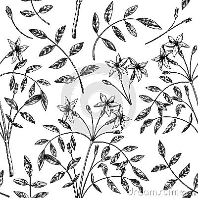 Hand sketched Jasmine seamless pattern. Botanical illustration with leaves and flowers. White Jasmine backdrop. Hand-drawn Vector Illustration