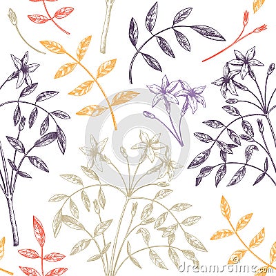 Hand sketched Jasmine seamless pattern in color. Botanical illustration with leaves and flowers. White Jasmine backdrop. Hand- Vector Illustration