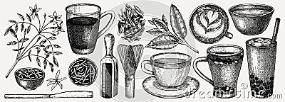 Hand-sketched tea drinks and ingredients collection. Vector sketches of hot beverage cups, dried leaves, jasmine blossom. Green Vector Illustration