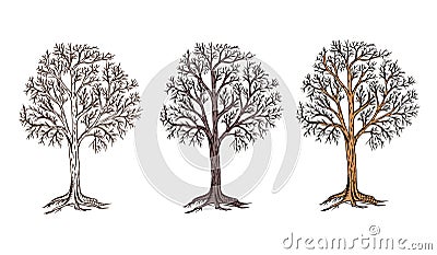 Hand sketched tree dry symbol vector illustration Vector Illustration