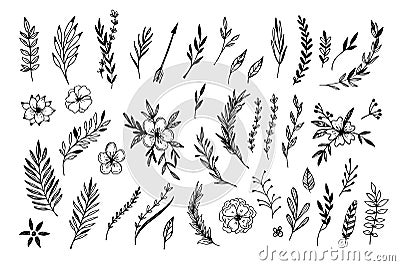 Hand sketched vector vintage elements Vector Illustration