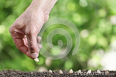 Hand sowing seeds in vegetable garden soil, close up on gree Stock Photo