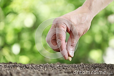 Hand sowing seeds in vegetable garden soil, close up on gree Stock Photo