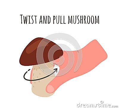 The hand takes and twists the mushroom out of the ground, the soil.Harvest,picking fungi in autumn season. Vector Illustration