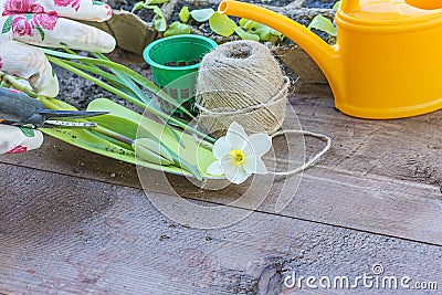 Spring gardening concept Stock Photo