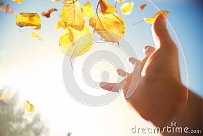 Hand throwing autumn leaves in the sky Stock Photo