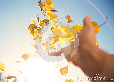 Hand throwing autumn leaves in the sky Stock Photo