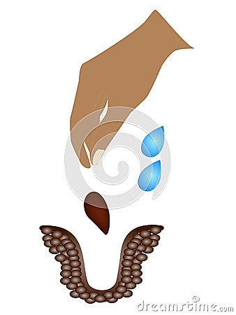 The hand throws the seed into the soil. Vector Illustration
