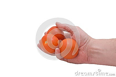 Hand & Tomatoes Stock Photo