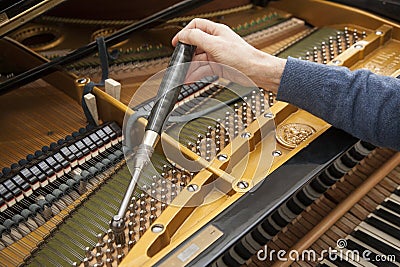 Hand and tools of tuner working on grand piano Stock Photo