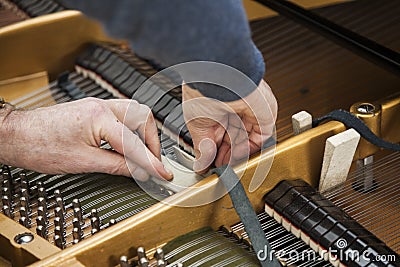 Hand and tools of tuner working on grand piano Stock Photo