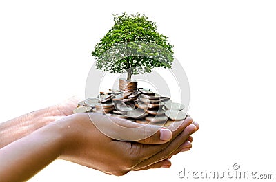 Hand tree Coin Isolate hand Coin tree The tree grows on the pile. Saving money for the future. Investment Ideas and Business Growt Stock Photo