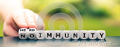 Hand turns dice and changes the expression `no immunity` to `herd immunity`. Stock Photo