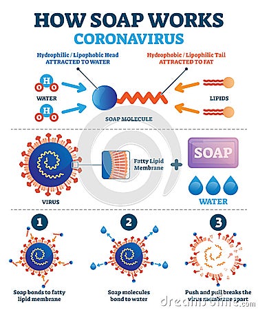 Hand washing with soap to fight coronavirus Covid-19 vector illustration. Vector Illustration