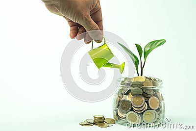 Hand watering plant with coins in glass jar for idea,saving money glowing business concept. Stock Photo