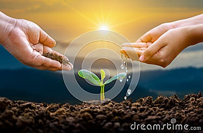 Hand Watering plants tree mountain green Background Female hand holding tree on nature field grass Forest conservation concept Stock Photo