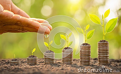 Hand watering to small tree on top of coin stack. Business success, Financial or money growing concept Stock Photo