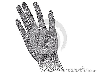 A Hand With A White Background - Human hand close-up Vector Illustration