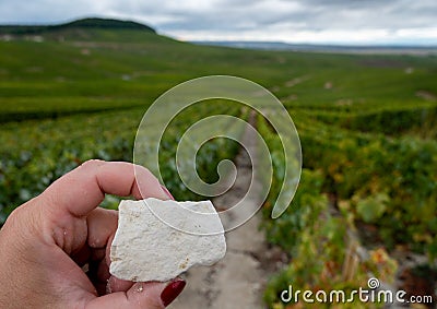 Hand with white chalk stones from Cote des Blancs near Cramant, region Champagne, France and view on grand cru vineyards Stock Photo