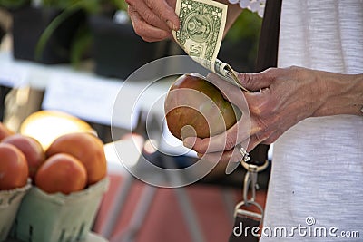 Hand of woman counting out US dollars as she holds a tomato shes getting ready to buy at a farmers market Stock Photo